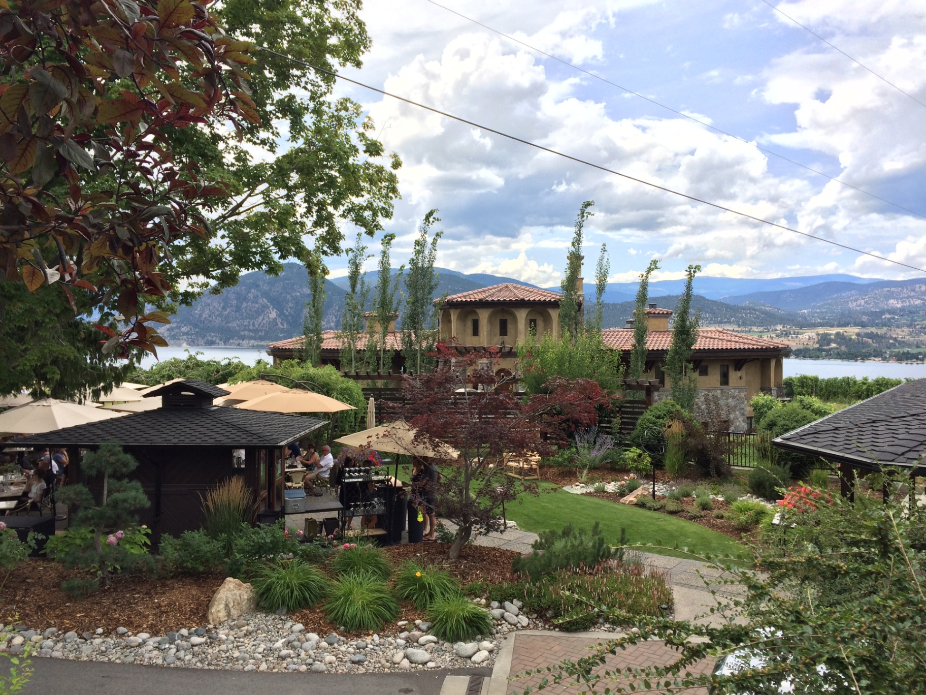 Lake Breeze Vineyards